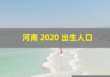 河南 2020 出生人口